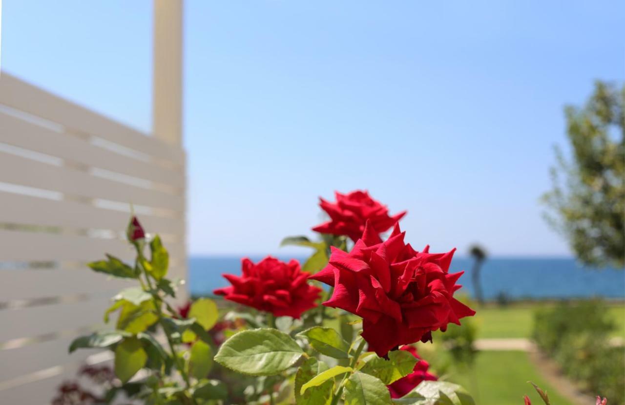 Mareggio Exclusive Residences & Suites Gytheio Exteriör bild